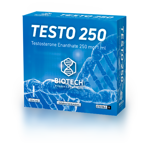 Testo%20250%20C